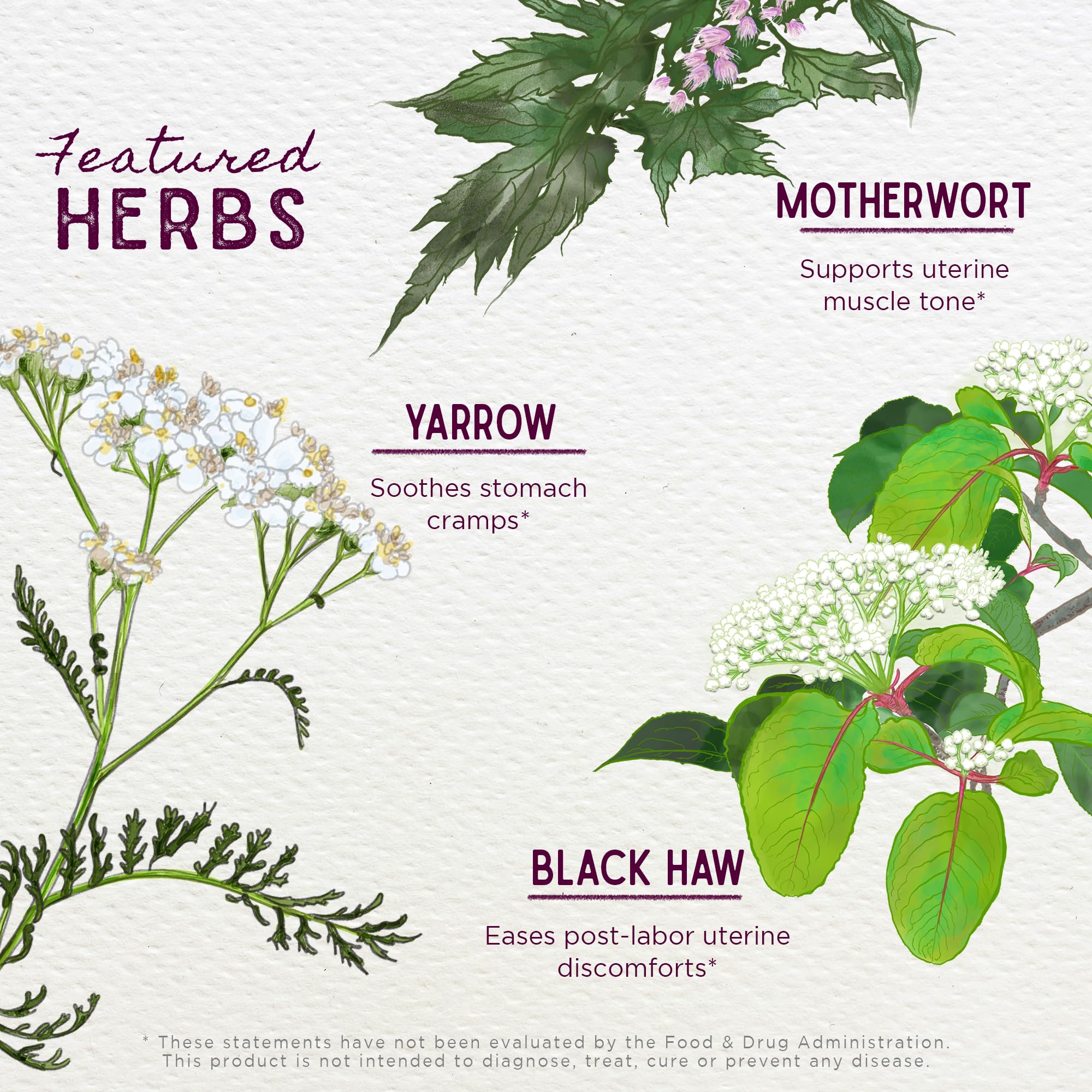 Foto 4 pulgar | Suplemento Herbario Wishgarden Herbs Afterease After Birth 60 Ml - Venta Internacional.