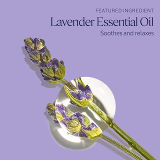 Foto 4 | Baño Espumoso L'occitane Lavender 500 Ml - Venta Internacional.