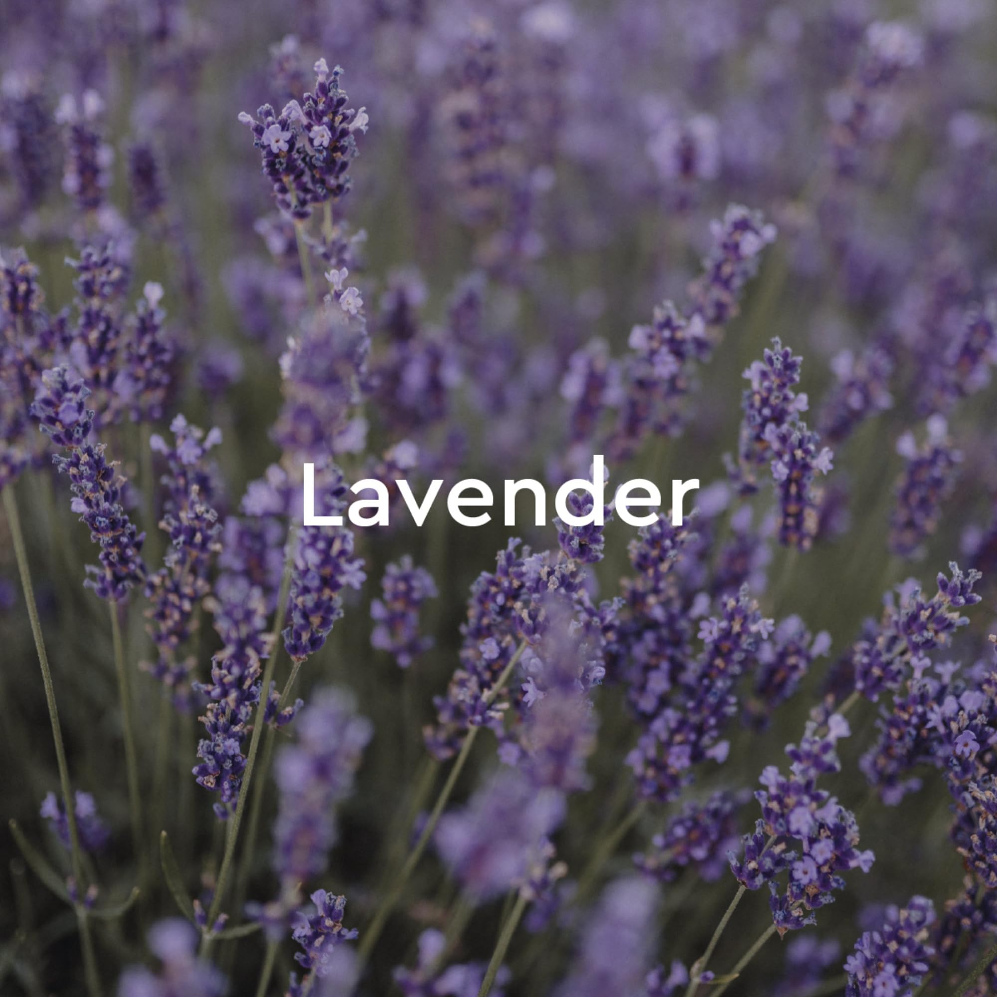 Foto 5 | Baño De Burbujas Kneipp, Relajante, Aromaterapia Con Lavanda, 400 Ml, Vegano - Venta Internacional.