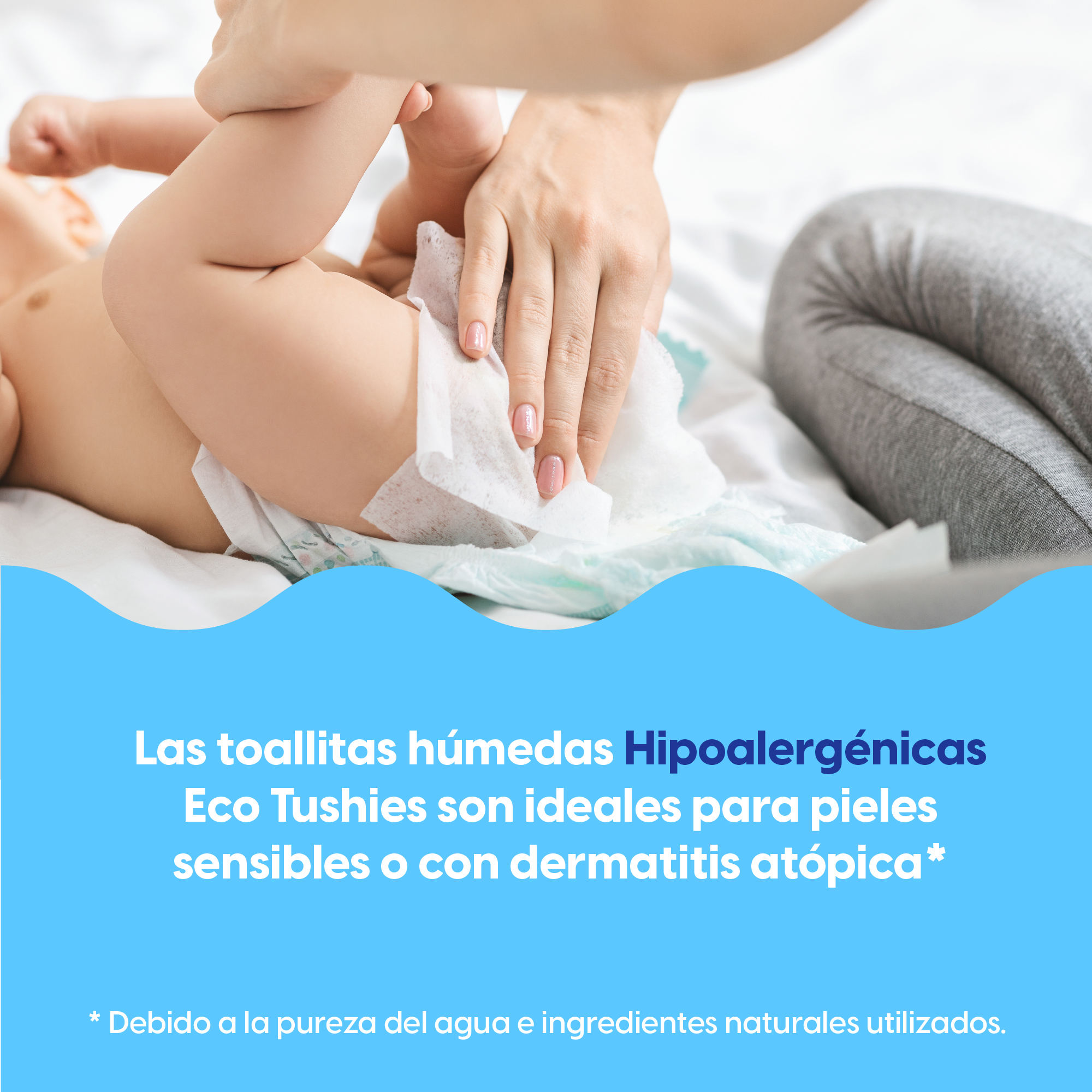 Foto 5 pulgar | Toallitas Húmedas Eco Tushies 100% Naturales e Hipoalergénicas 12 Paquetes de 80 c/u