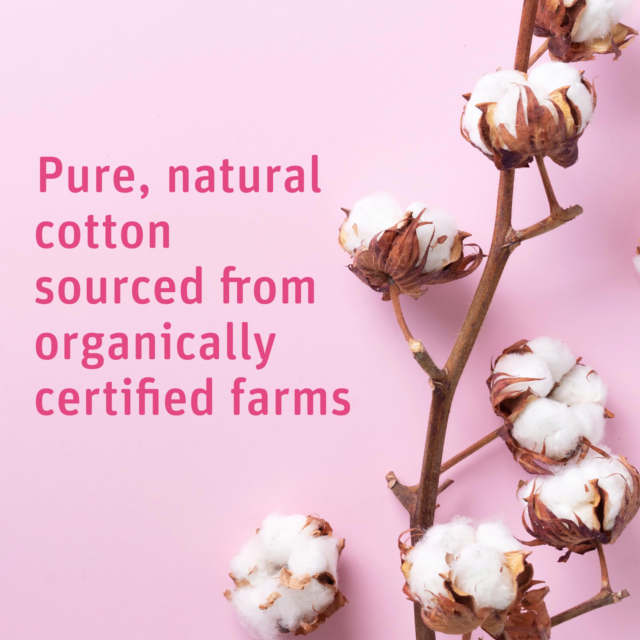 Foto 4 pulgar | Cotton Rounds Medline Simply Soft Premium Organic 300 Almohadillas - Venta Internacional.