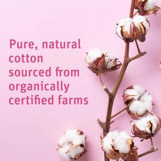 Foto 3 | Cotton Rounds Medline Simply Soft Premium Organic 300 Almohadillas - Venta Internacional.