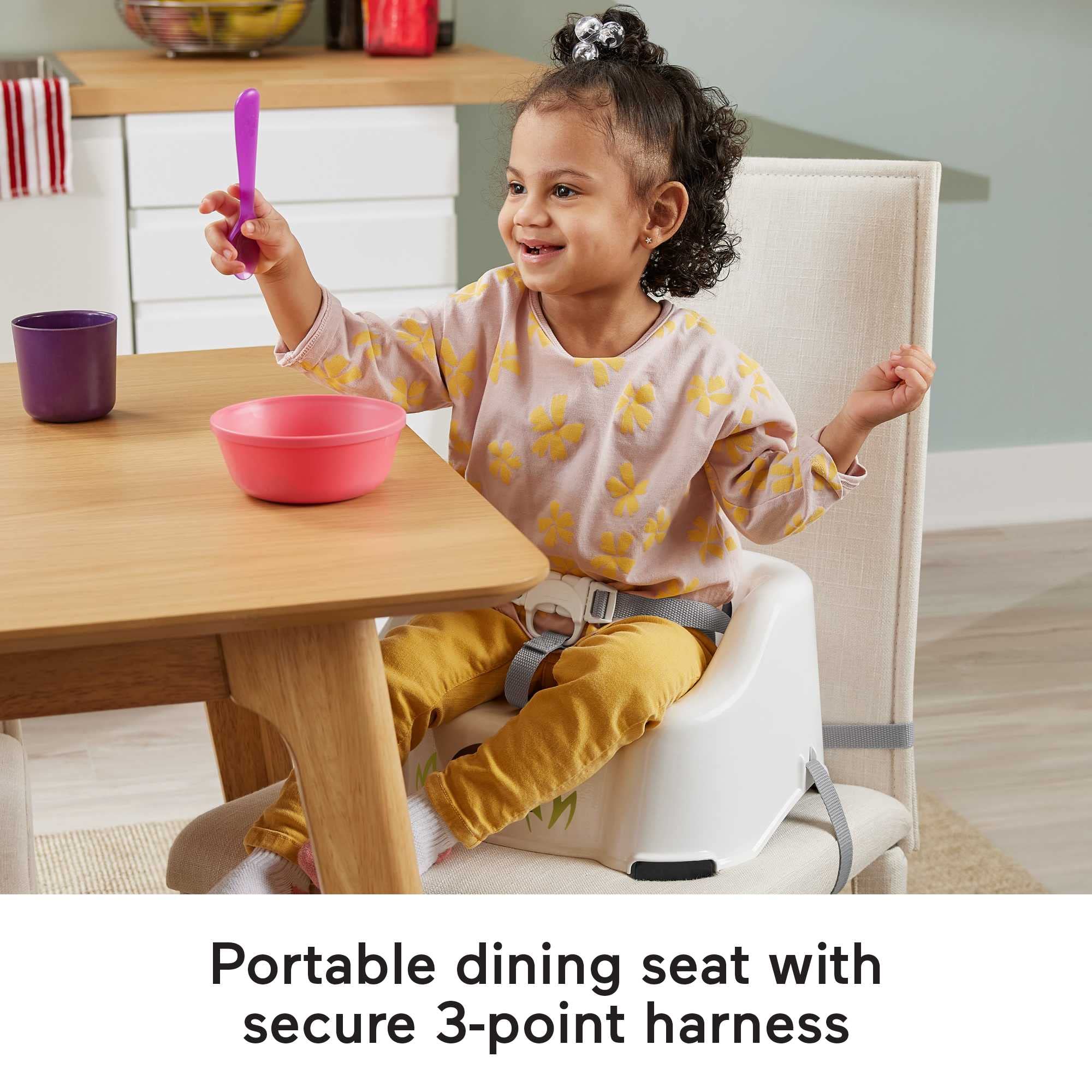 Foto 4 pulgar | Asiento Elevador Para Niños Pequeños Fisher-price Simple Clean Raccoon - Venta Internacional.