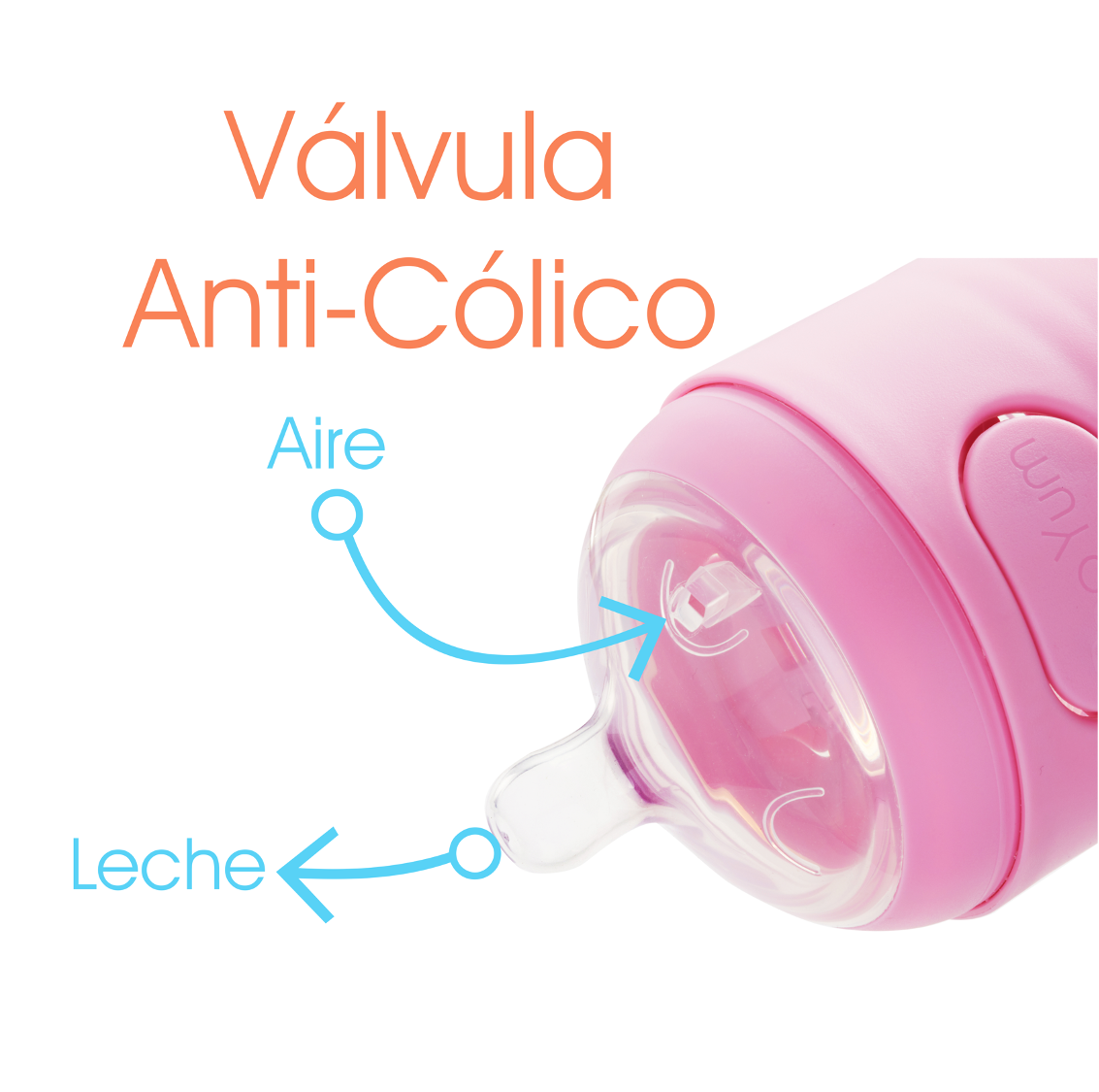 Foto 4 pulgar | Popyum Biberón Anticólico De Bebé Para Mezclar Fórmula 5oz / 150ml Paquete De 2 Piezas Rosa