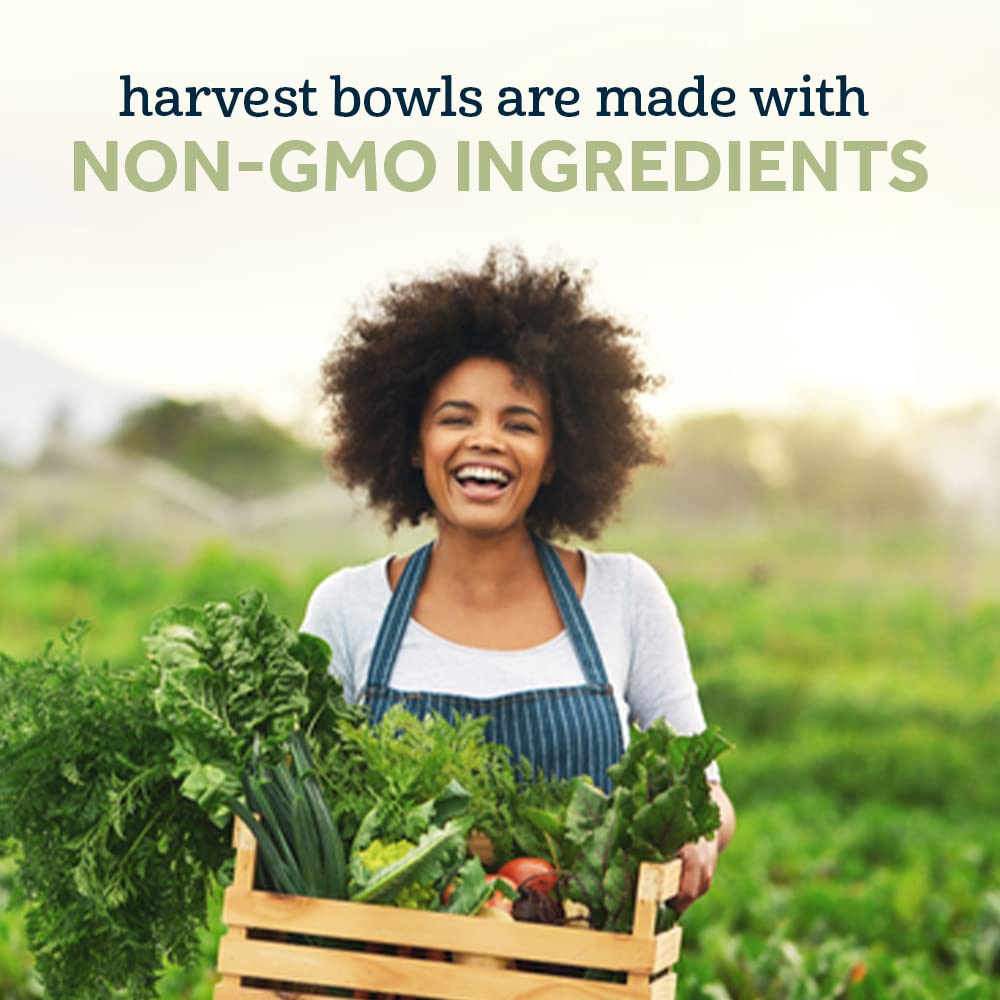 Foto 2 | Baby Food Gerber Mealtime Harvest Bowl Garden Tomate Pasta - Venta Internacional.