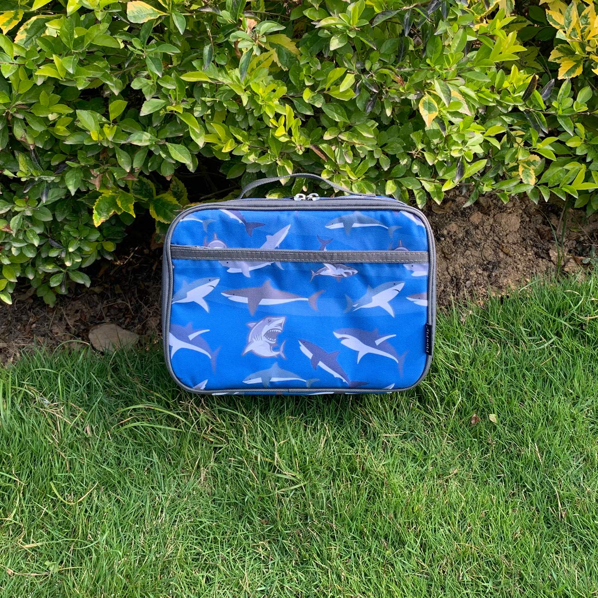 Foto 6 pulgar | Lonchera Flowfly Kids, Bolsa Blanda Aislante Mini Cooler Shark - Venta Internacional.
