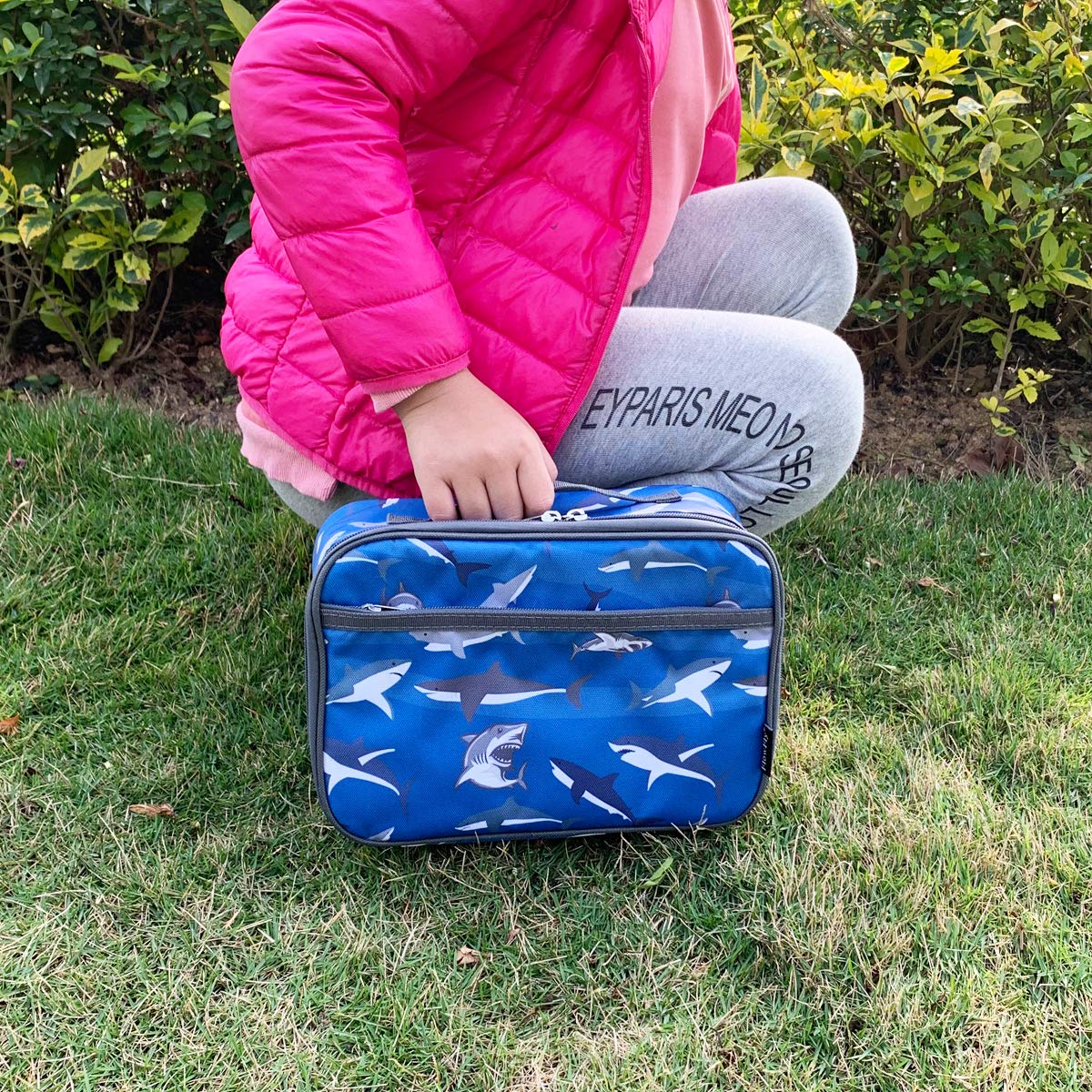 Foto 7 | Lonchera Flowfly Kids, Bolsa Blanda Aislante Mini Cooler Shark - Venta Internacional.