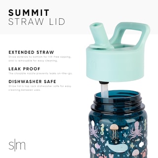 Foto 3 | Botella De Agua Simple Modern Sesame Street Kids De 350 Ml Sin Bpa - Venta Internacional.