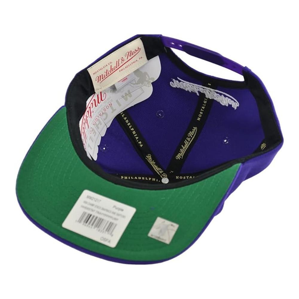 Foto 5 pulgar | Gorra Mitchell & Ness Champ Stack Raptors Basquetbol Púrpura para Hombre