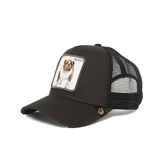 Foto 2 | Gorra Goorin Bros Bulldog 1010440blk Negra