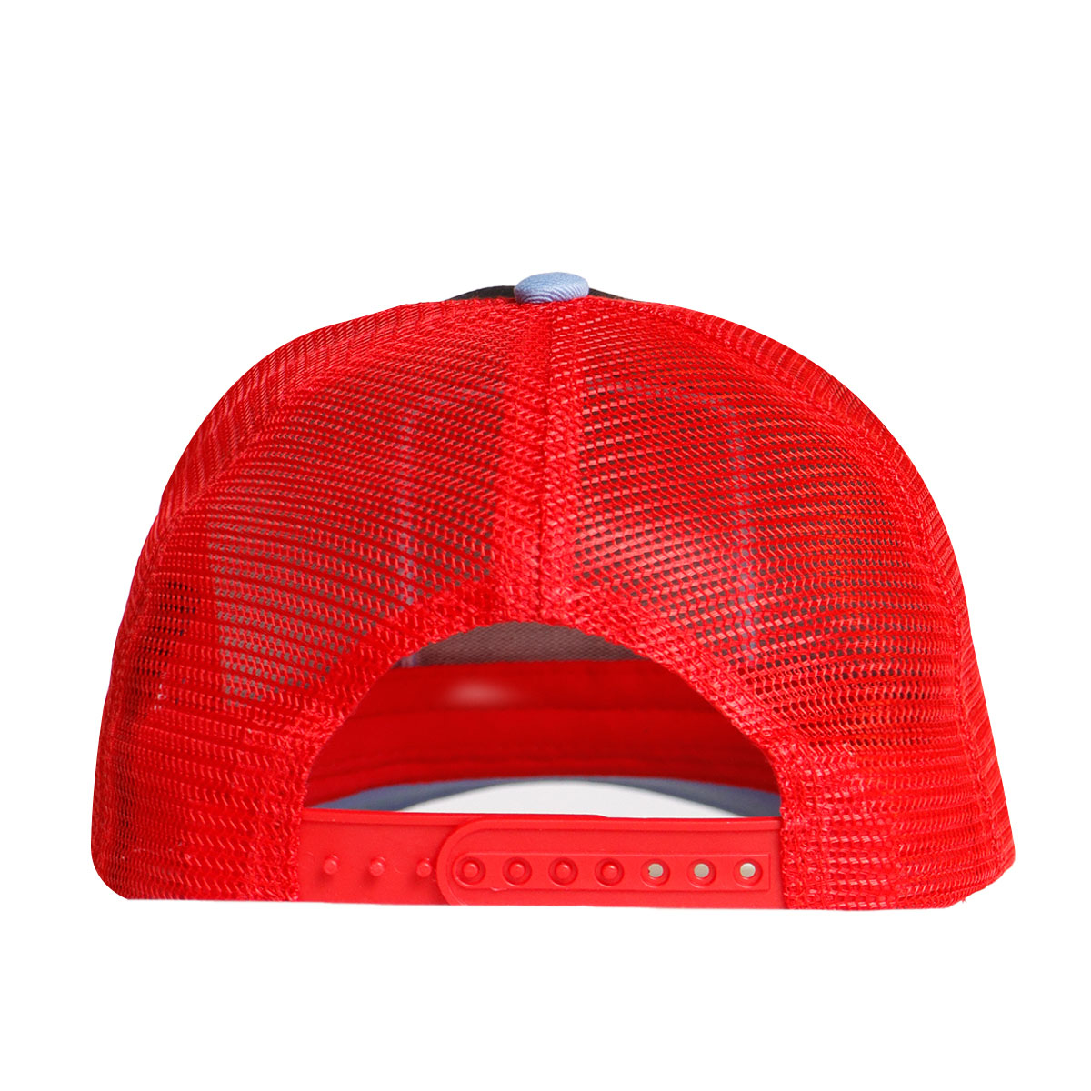 Foto 5 pulgar | Gorra Curva Con Malla Original Pook Alebrije Ajolote