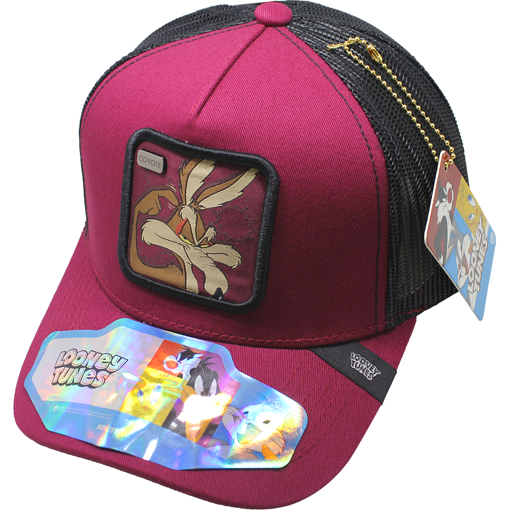 Foto 2 pulgar | Gorra Lt Wile E. Coyote 404b