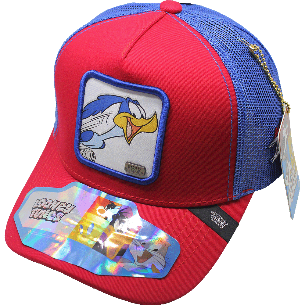 Foto 2 pulgar | Gorra Lt Correcaminos 410c