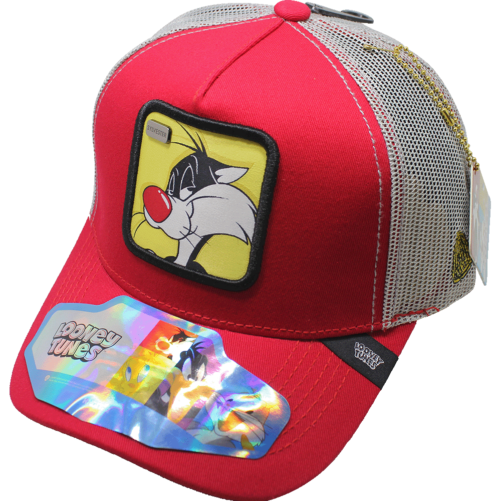 Foto 2 pulgar | Gorra Lt Silvestre 411c