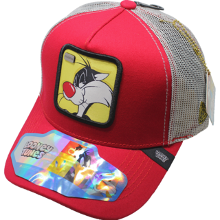 Foto 1 | Gorra Lt Silvestre 411c