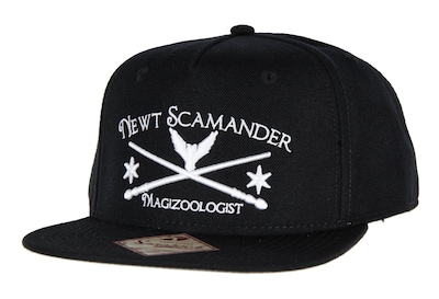 Foto 1 | Gorro De Punto Bioworld Fantastic Beasts Newt Scamander Black - Venta Internacional.