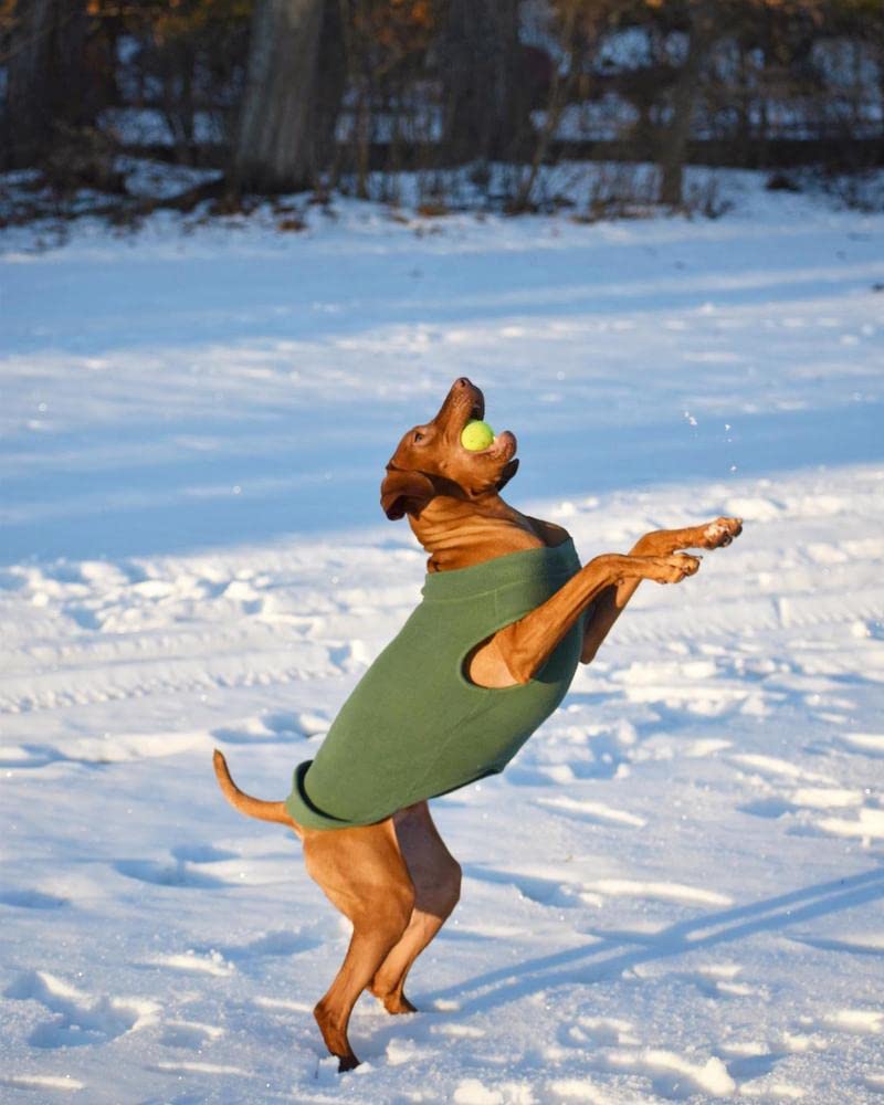Foto 7 pulgar | Chaleco Polar Elástico Gooby Para Perros, Color Marrón, Talla 6xl - Venta Internacional.