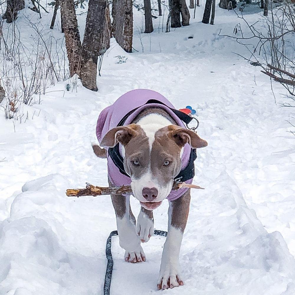 Foto 6 | Chaleco Polar Elástico Gooby Para Perros, Color Lavanda, 4xl - Venta Internacional.