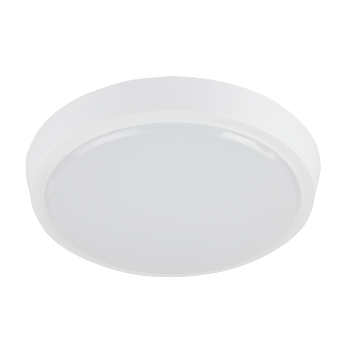 Lámpara de Interior Led para Sobreponer 20 W Luz de Día Tecnolite color Blanco