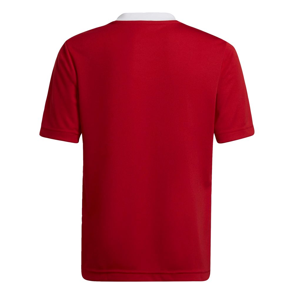 Foto 3 pulgar | Jersey Entrada 22 Adidas Rojo Niños