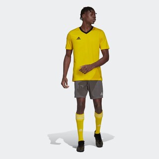 Foto 8 | Jersey Adidas Entrada 22 Amarilla para Hombre