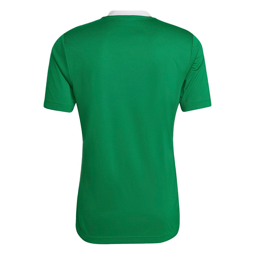 Foto 3 pulgar | Jersey Adidas Entrada 22 Verde para Hombre