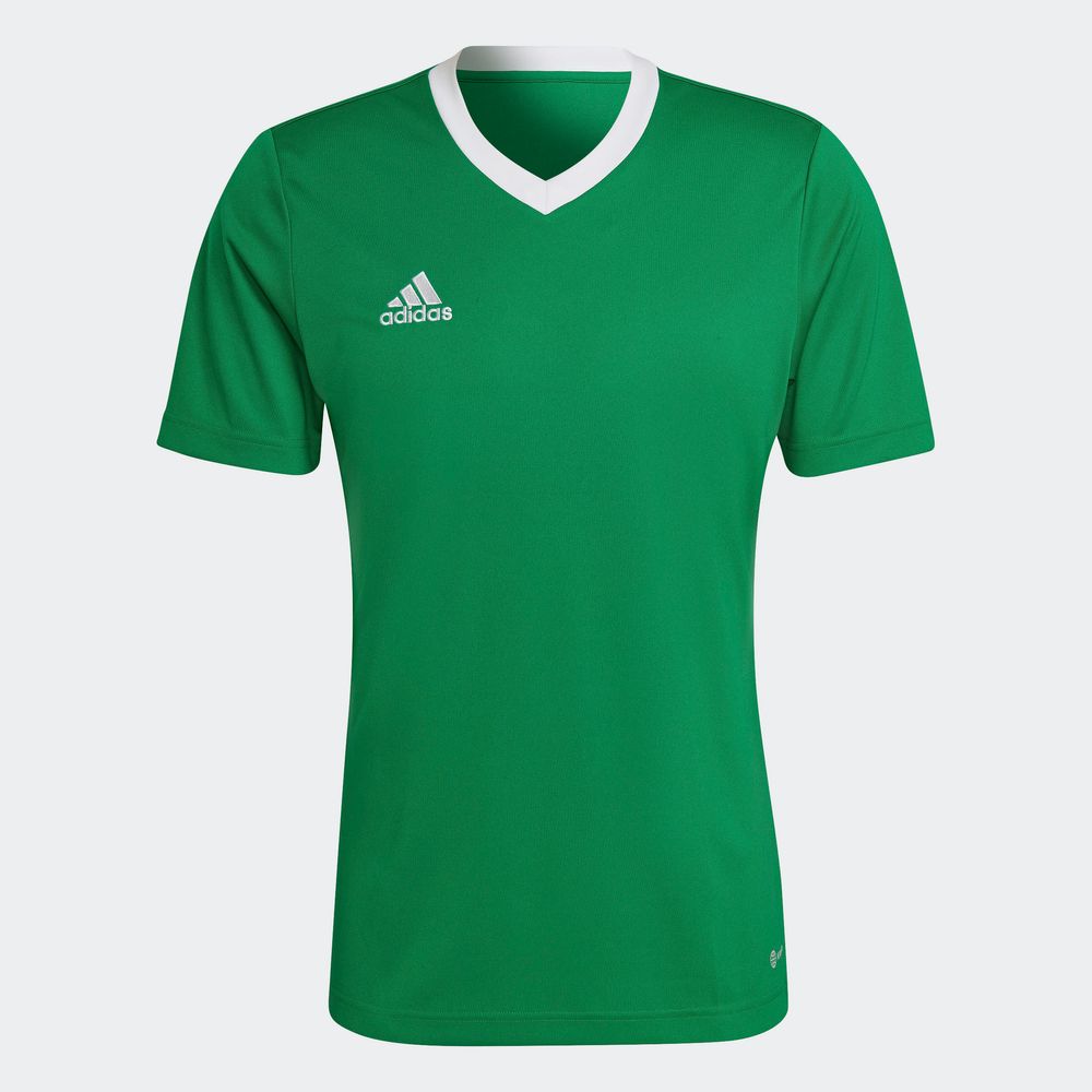 Foto 3 | Jersey Adidas Entrada 22 Verde para Hombre