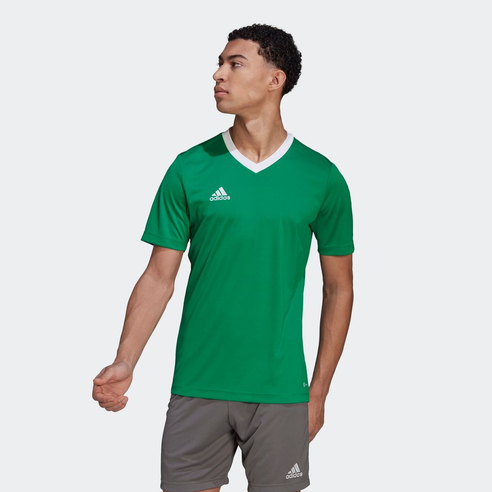 Foto 5 pulgar | Jersey Adidas Entrada 22 Verde para Hombre