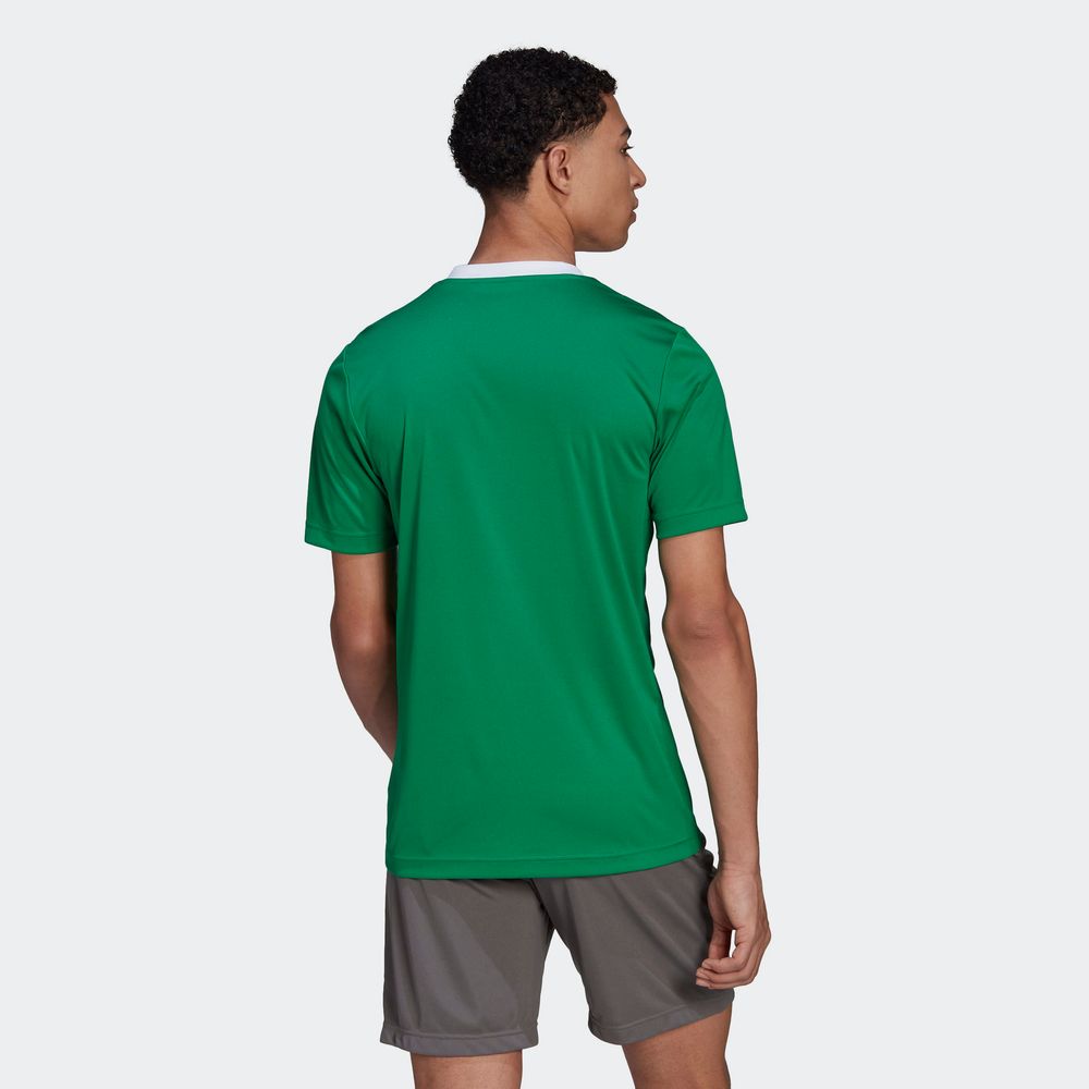 Foto 5 | Jersey Adidas Entrada 22 Verde para Hombre