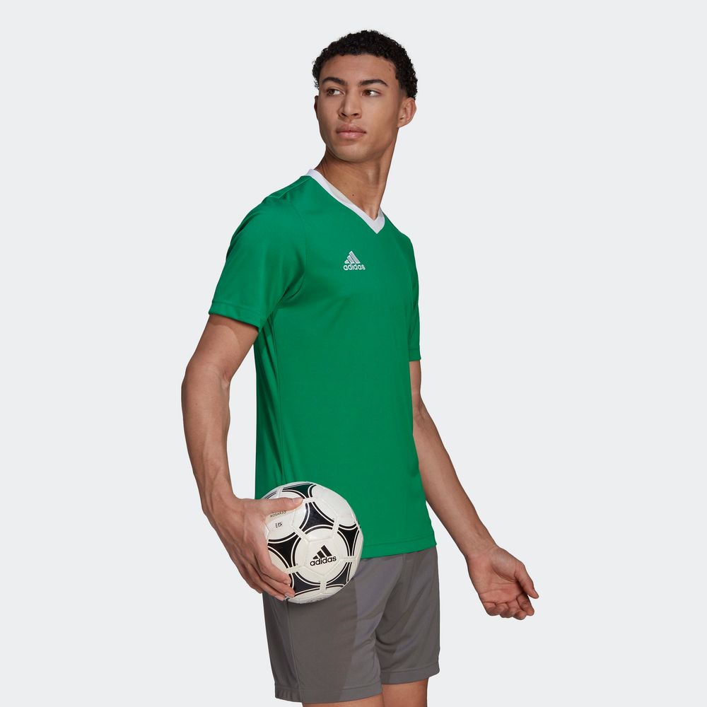 Foto 6 | Jersey Adidas Entrada 22 Verde para Hombre