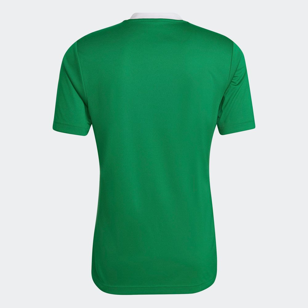 Foto 8 pulgar | Jersey Adidas Entrada 22 Verde para Hombre