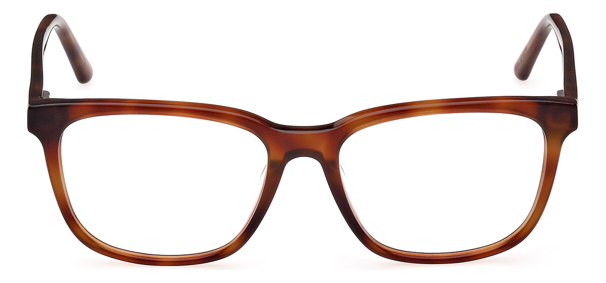 Lentes Oftálmicos Gu8269 Blonde Havana Guess