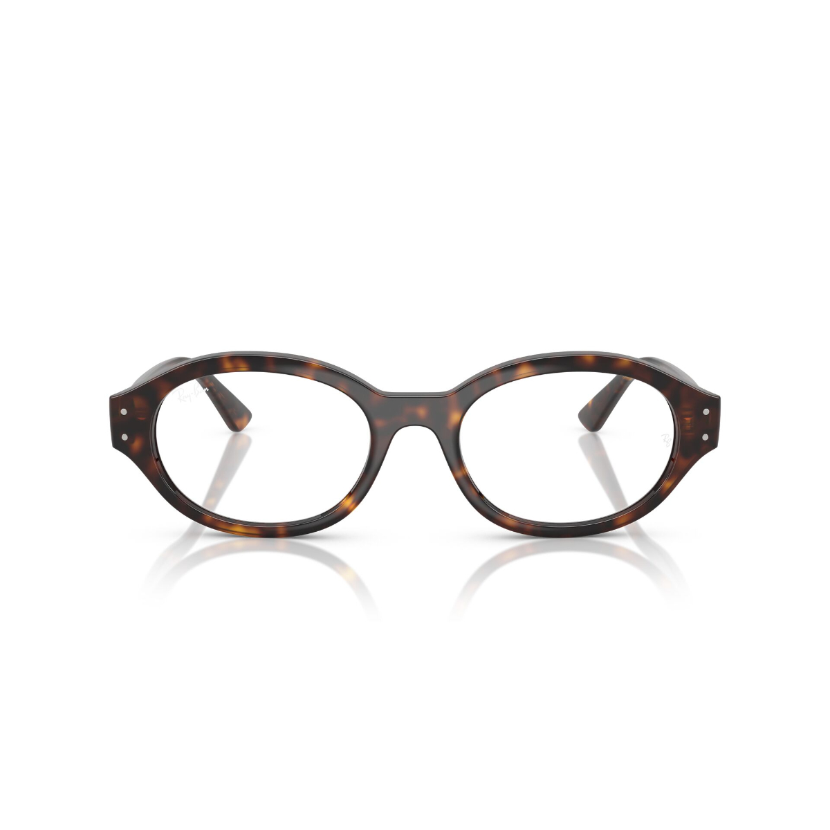 Lentes De Vista Shilo Havana Ray-ban Vista