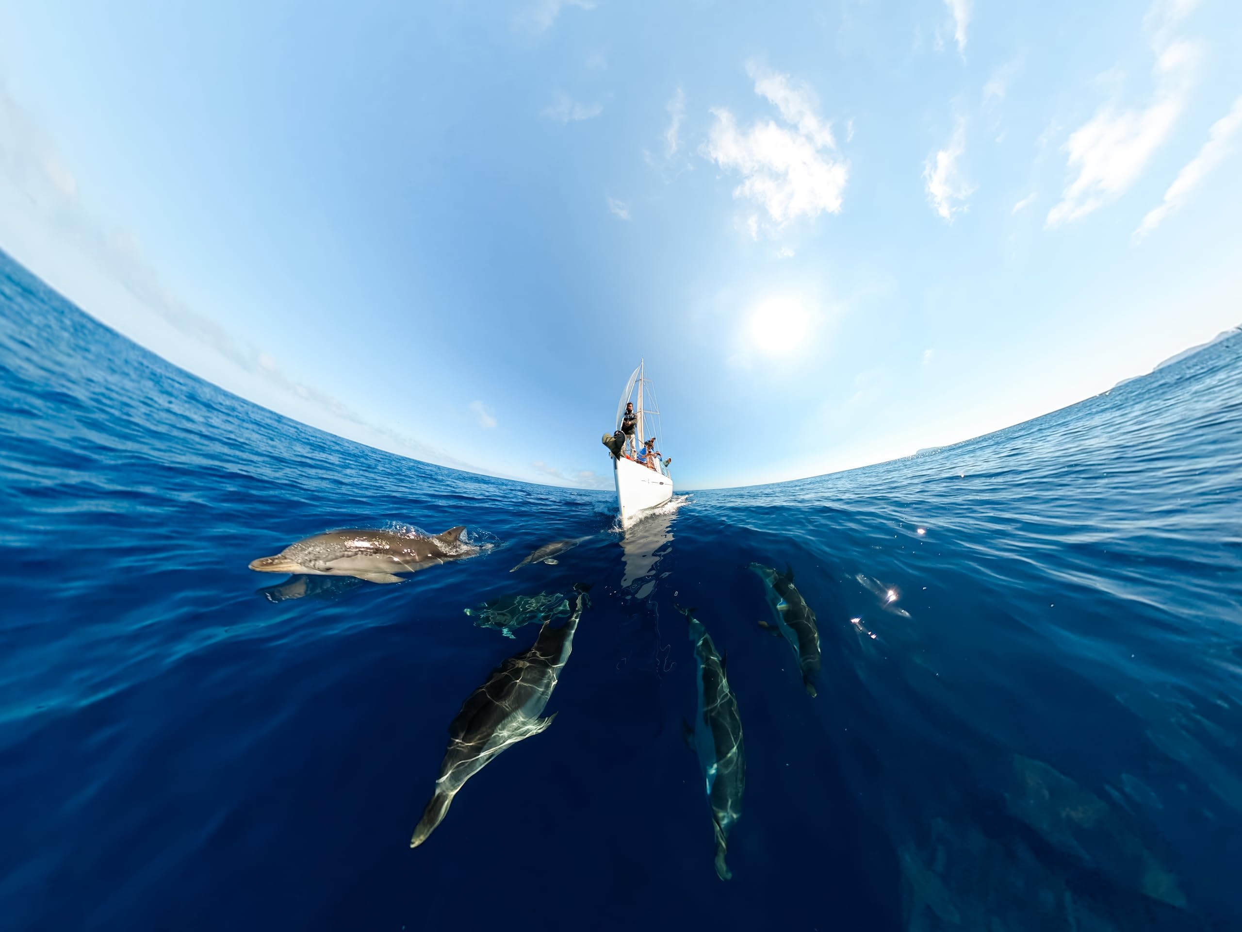 Foto 7 | Cámara Gopro Max Waterproof 360 + Action 5.6k30 16.6mp - Venta Internacional.