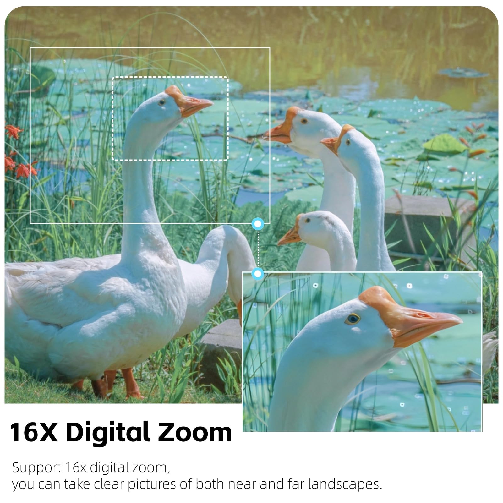 Foto 5 | Cámara De Vídeo Yoidesu Black Digital 1080p 16mp Con Pantalla De 2.7 Pulgadas - Venta Internacional.