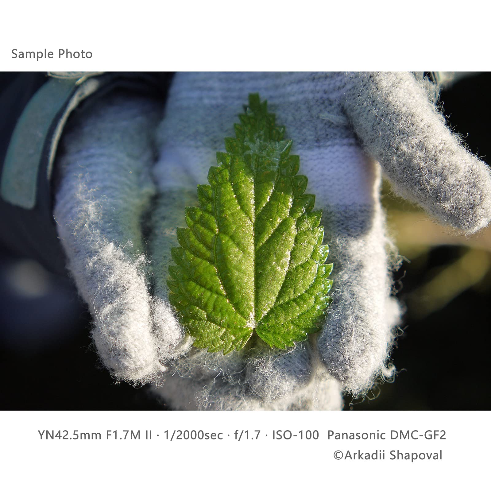 Foto 8 pulgar | Lente Yongnuo Yn42.5 Mm F1.7m Ii Con Enfoque Automático Para Micro 4/3 - Venta Internacional.