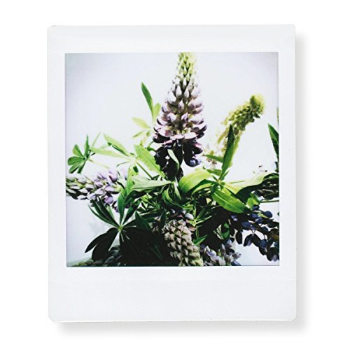 Foto 5 | Paquete Fujifilm Square De 10 Películas Instantáneas (100 Exposiciones) Para Sq1, Sq6 Y Sq10 - Venta Internacional.