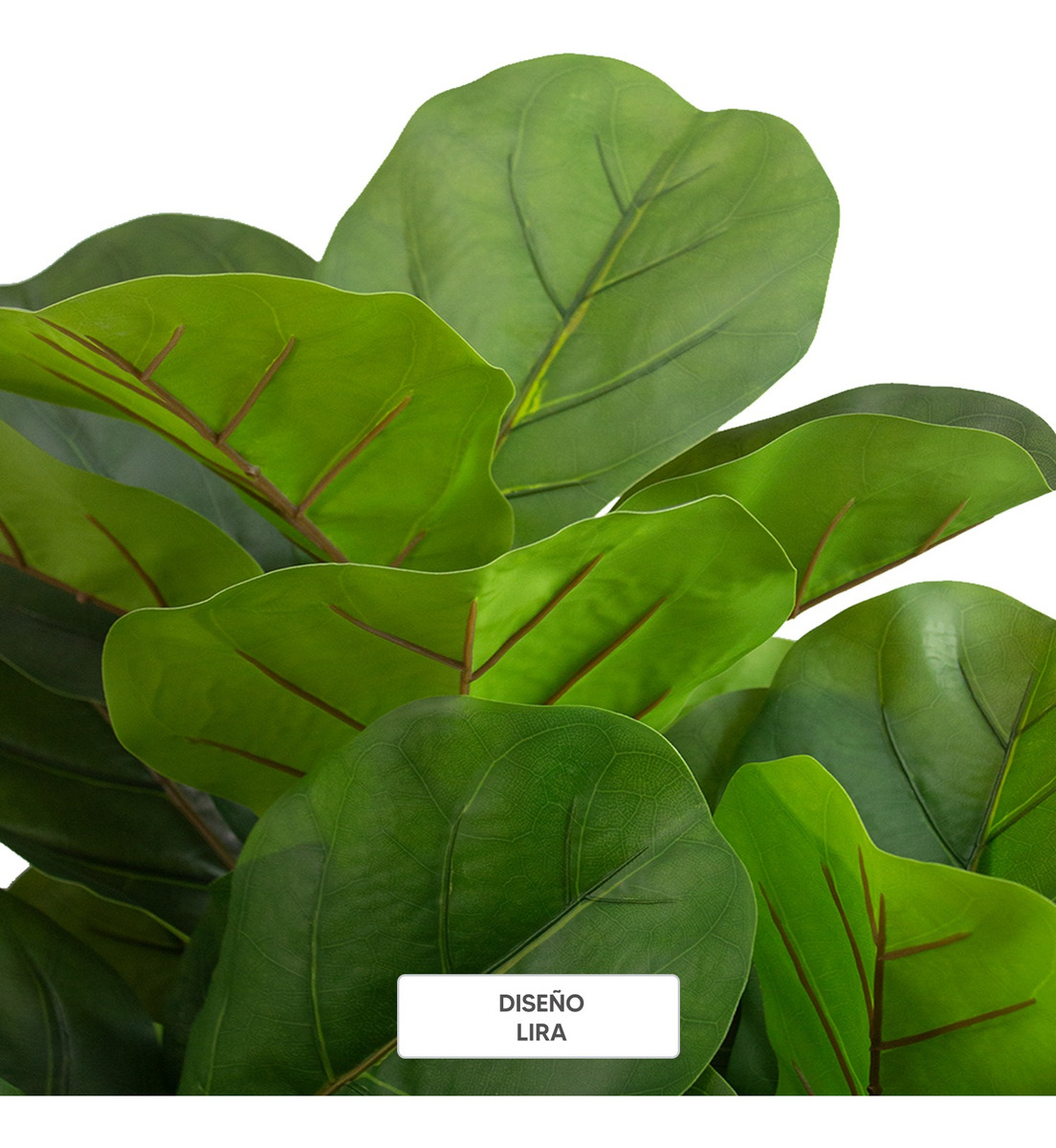 Foto 5 | Planta Artificial Jauz Tipo Monstera 4 Piezas