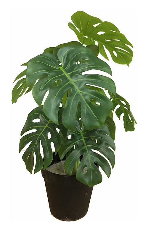 Planta Artificial de Plástico Jauz Improvement 4_JOSI0233 Tipo Mini Monstera 35 cm 4 Piezas