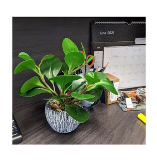 Foto 3 | Macetas Artificiales Decorativos Plantas Adornos Decoracion Macetero Gris