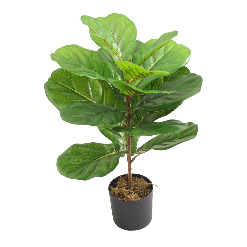 Planta Artificial Ficus Pandurata  Pequeña 60cm Con Maceta