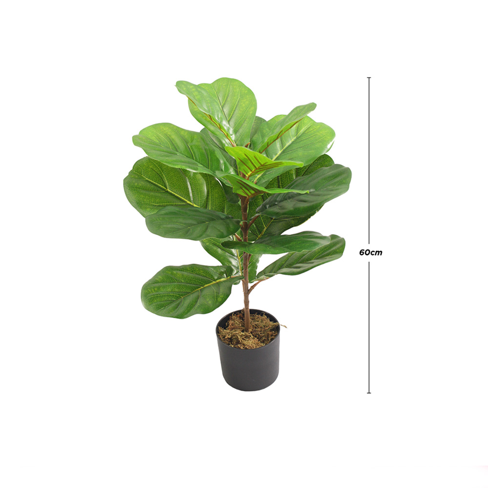 Foto 5 pulgar | Planta Artificial Ficus Pandurata  Pequeña 60cm Con Maceta