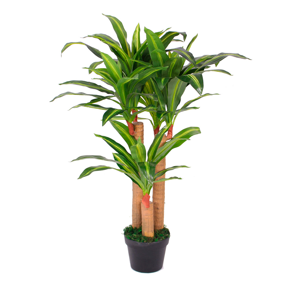 Planta Artificial Palo De Brasil De 1.0mts | Incluye Maceta | Para Interiores