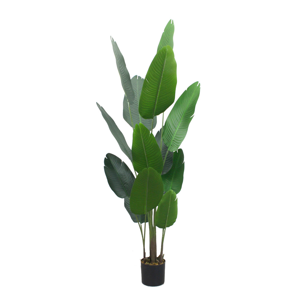 Planta Artificial Palma De Viajero 1.6mts | Incluye Maceta | Para Interiores