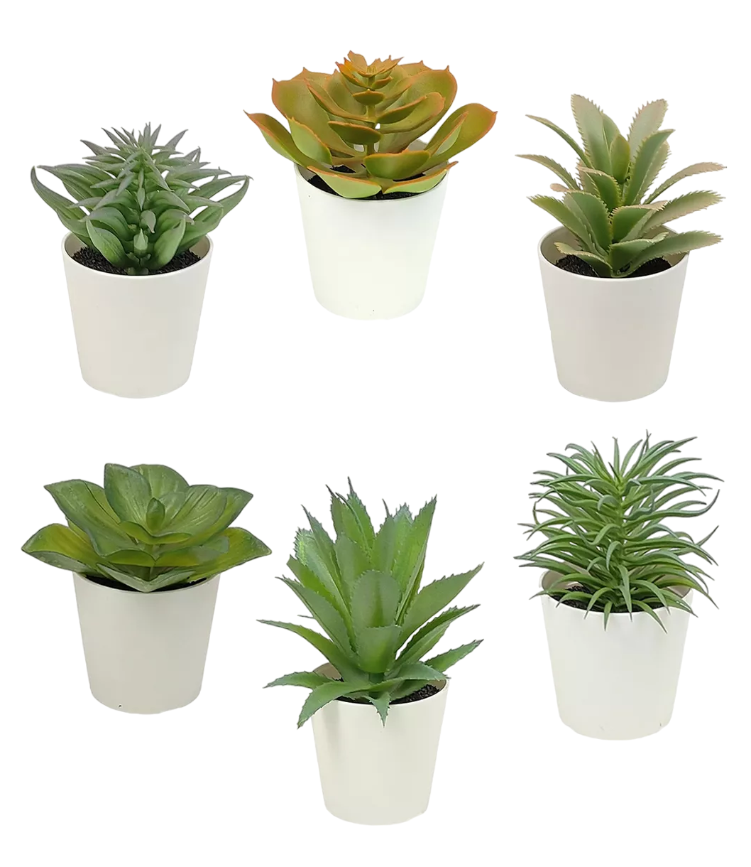 Plantas Suculentas Artificiales Macetas Decorativas Bonsai