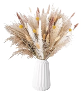 Foto 1 | Pampas Secas Flores Artificiales 63 Pcs Beige/cafe/blanco