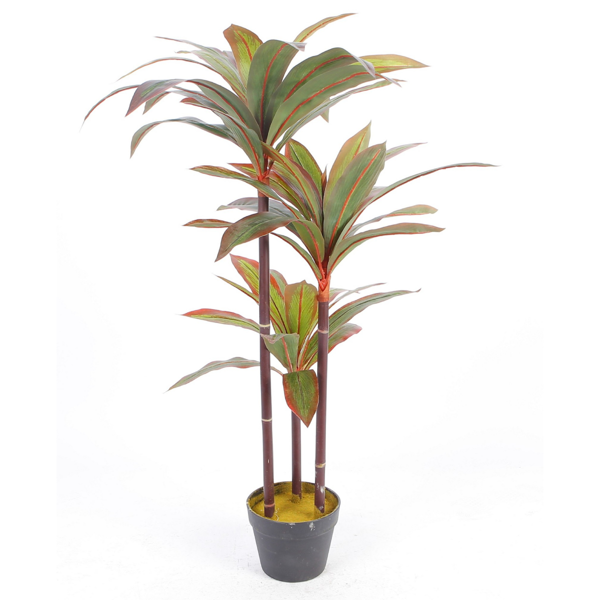 Planta Decorativa Dracaena Verde Con Maceta Negra