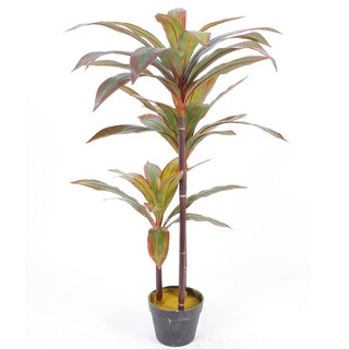 Foto 2 | Planta Decorativa Dracaena Verde Con Maceta Negra