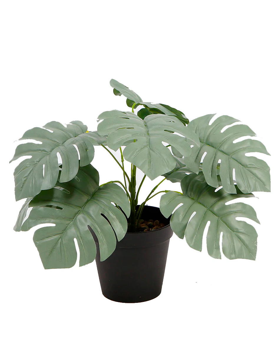 Foto 2 pulgar | Planta Decorativa Monstera Verde Y Blanco Con Maceta Negra