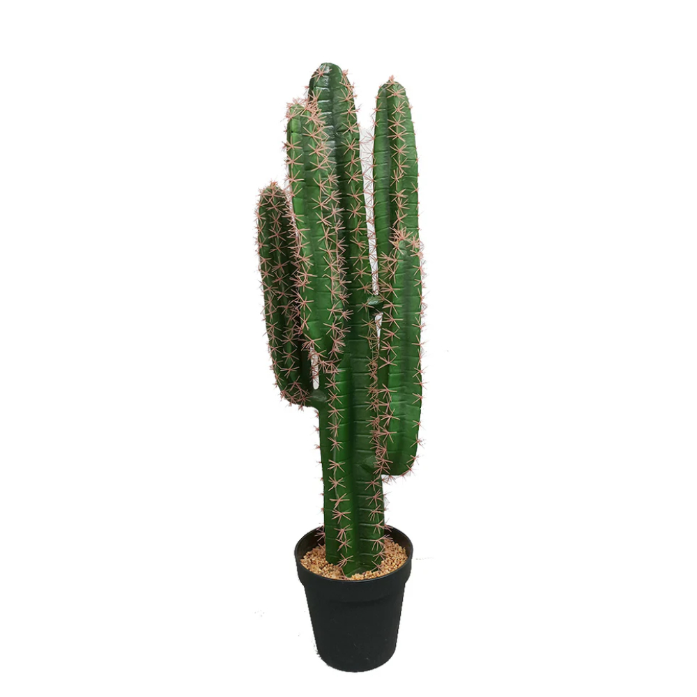 Foto 2 pulgar | Cactus Decorativo Verde Con Maceta De Plástico Negra